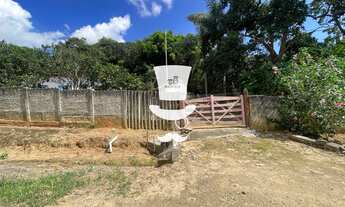 Imagem 6: Sítio à venda em Barbacena com metragem de 6,5h na Colônia Rodrigo Silva