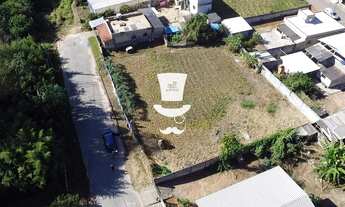 Imagem 5: Lote em Alfredo Vasconcelos com metragem total de 493m