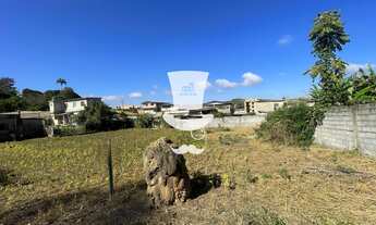 Imagem 6: Lote em Alfredo Vasconcelos com metragem total de 493m