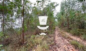 Imagem 2: Fazenda à venda em Barbacena com metragem de mais de 94 hectares no Padre Brito