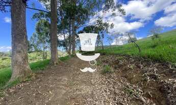 Imagem 3: Sítio à venda em Barbacena com metragem total de 9,65 ha em Correia de Almeida