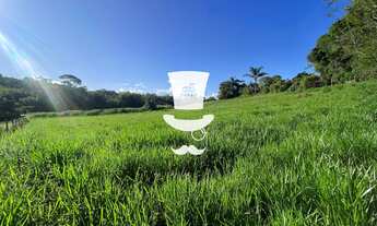 Imagem 5: Lote à venda em Barbacena com metragem de 2901m em Pinheiro Grosso