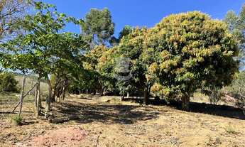 Imagem 6: Sítio à venda em ANTONIO CARLOS - MG no Distrito de São Bento dos Torres
