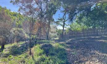 Imagem 7: Sítio à venda em ANTONIO CARLOS - MG no Distrito de São Bento dos Torres