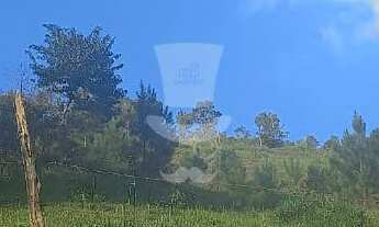 Imagem 5: Chácara à venda com 7.128,73m em Curral Novo, ANTONIO CARLOS - MG