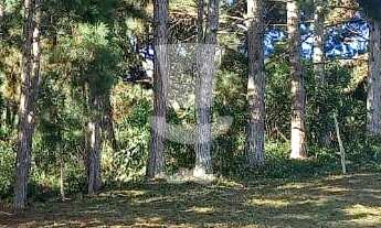 Imagem 7: Chácara à venda com 7.128,73m em Curral Novo, ANTONIO CARLOS - MG