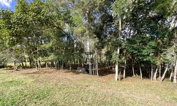 Imagem 2: Lote à venda em Barbacena com metragem de 4000m , no Pinheiro grosso