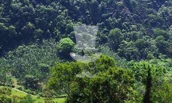 Imagem 1: Terreno amplo com metragem de 2600m à venda em Juiz de Fora