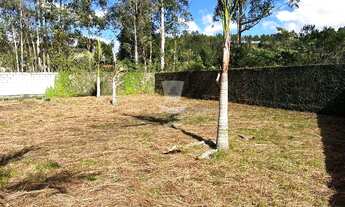 Imagem 7: Terreno à venda com metragem de 3.000m no bairro Campolide em Antônio Carlos