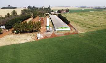Imagem 3: Fazenda à venda,363000.00 m , Zona Rural, TOLEDO - PR