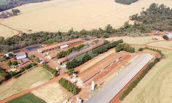 Imagem 2: Fazenda à venda,363000.00 m , Zona Rural, TOLEDO - PR