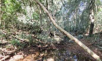 Imagem: Chácara à venda,20000.00 m, Novo Sobradinho