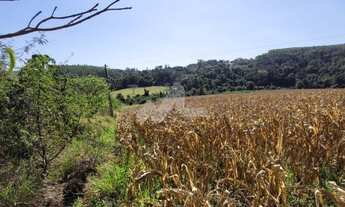 Imagem 2: Chácara à venda,20000.00 m , Novo Sobradinho, TOLEDO - PR