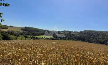 Imagem: Chácara à venda,20000.00 m, Novo Sobradinho