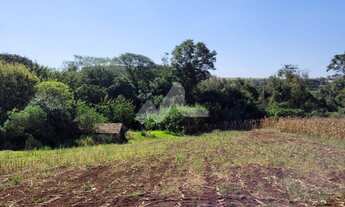 Imagem 3: Chácara à venda,20000.00 m , Novo Sobradinho, TOLEDO - PR