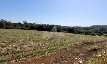 Imagem 2: Chácara à venda,20000.00 m , Novo Sobradinho, TOLEDO - PR