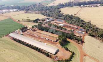 Imagem 5: Fazenda à venda,363000.00 m , Zona Rural, TOLEDO - PR