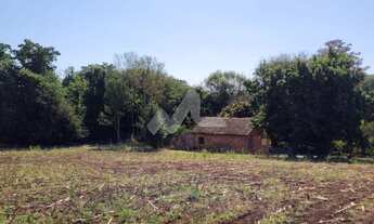 Imagem 3: Chácara à venda,20000.00 m , Novo Sobradinho, TOLEDO - PR