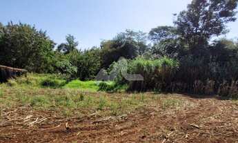 Imagem 2: Chácara à venda,20000.00 m , Novo Sobradinho, TOLEDO - PR