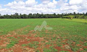 Imagem 7: Chácara à venda,24200.00 m , Zona Rural, TOLEDO - PR