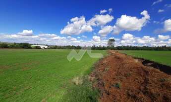 Imagem 4: Chácara à venda,24200.00 m , Zona Rural, TOLEDO - PR