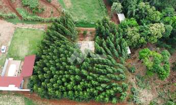 Imagem 4: Chácara em lugar calmo com espaço com fundos para o Rio São Francisco