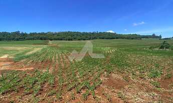 Imagem 2: Área rural de 5,00 Alq. - Localizada no Distrito de 10 de Maio, distante 26,5 Km de Toledo