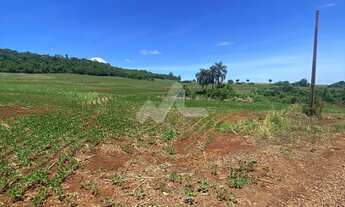 Imagem 3: Área rural de 5,00 Alq. - Localizada no Distrito de 10 de Maio, distante 26,5 Km de Toledo