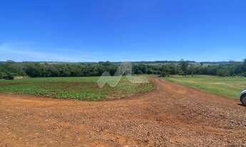 Imagem 7: Área rural de 5,00 Alq. - Localizada no Distrito de 10 de Maio, distante 26,5 Km de Toledo