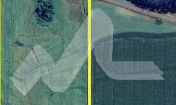 Imagem: Área rural de 5,00 Alq. - Localizada no