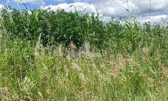 Imagem 2: Terreno para venda em Novo Sobradinho Toledo Pr, com 360 m , sendo 12x30 suas dimensões