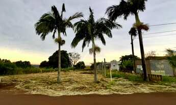 Imagem 5: Terreno com 981 m a Venda em Novo Sobradinho