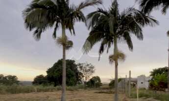 Imagem 6: Terreno com 981 m a Venda em Novo Sobradinho