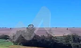 Imagem: Chácara à venda, 63.920 m2 na Linha São