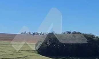 Imagem 5: Chácara à venda, 63.920 m2 na Linha São Paulo , TOLEDO - PR