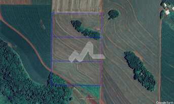 Imagem 6: Chácara à venda, 63.920 m2 na Linha São Paulo , TOLEDO - PR