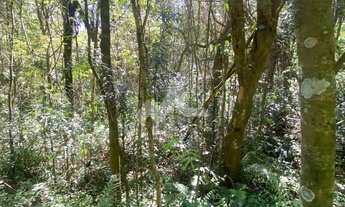 Imagem: Linda Chácara para venda em Bom Princípio