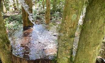 Imagem 2: Linda Chácara para venda em Bom Princípio, com 20.000 metros, sendo 52x 400, suas dimensõe
