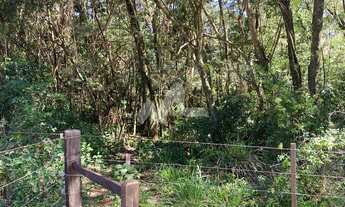 Imagem 5: Linda Chácara para venda em Bom Princípio, com 20.000 metros, sendo 52x 400, suas dimensõe