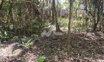 Imagem 6: Linda Chácara para venda em Bom Princípio, com 20.000 metros, sendo 52x 400, suas dimensõe