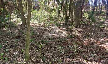 Imagem 7: Linda Chácara para venda em Bom Princípio, com 20.000 metros, sendo 52x 400, suas dimensõe