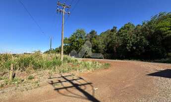 Imagem 5: Chácara à venda, Zona Rural, TOLEDO - PR