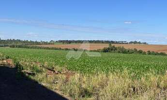 Imagem: Chácara à venda, Zona Rural, TOLEDO
