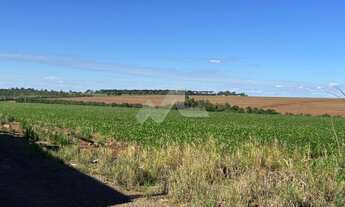 Imagem 2: Chácara à venda, Zona Rural, TOLEDO - PR