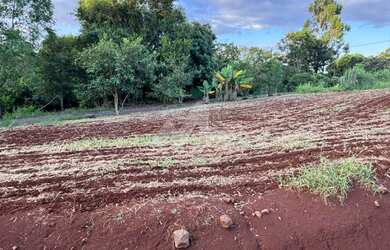 Imagem 7: Chácara com 3 dormitórios à venda,22800.00 m , Jardim Coopagro, TOLEDO - PR