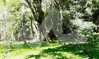 Imagem: Chácara à venda,12000.00 m, Jardim Concórdia