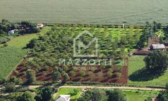 Imagem 6: CHACARA RECREIO PARAISO A 700 METROS DA BR 277 COM 5015 M2, MEDIANEIRA PR