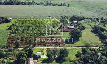 Imagem 7: CHACARA RECREIO PARAISO A 700 METROS DA BR 277 COM 5015 M2, MEDIANEIRA PR