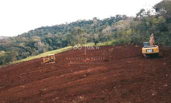 Imagem 2: AREA RURAL MATELANDIA PR COM PARCELAMENTO EM ATE 4 ANOS