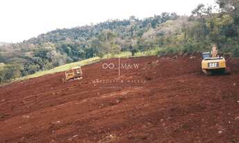 Imagem 4: AREA RURAL MATELANDIA PR COM PARCELAMENTO EM ATE 4 ANOS